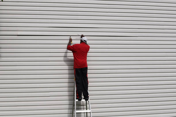 Best Insulated Siding Installation  in Johnstown, NY